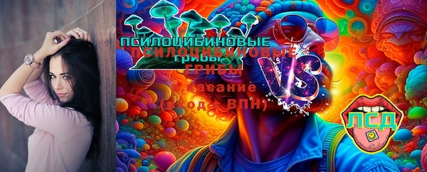 мет Покачи